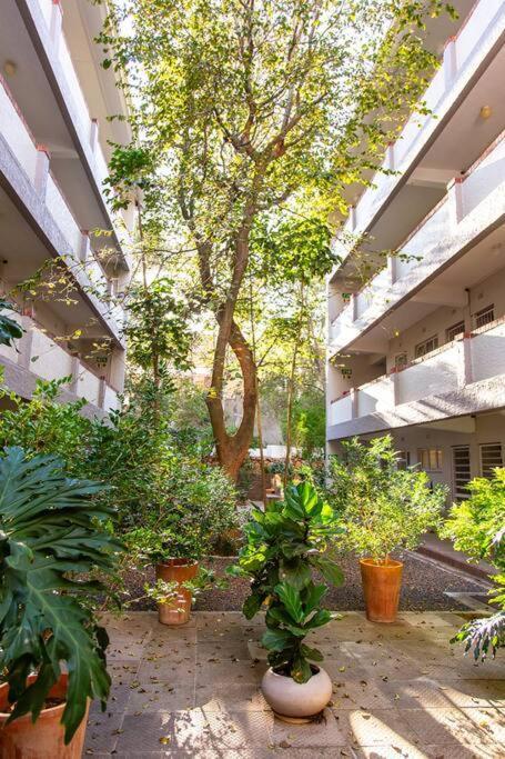 Chic With Views On Kloof Street Apartamento